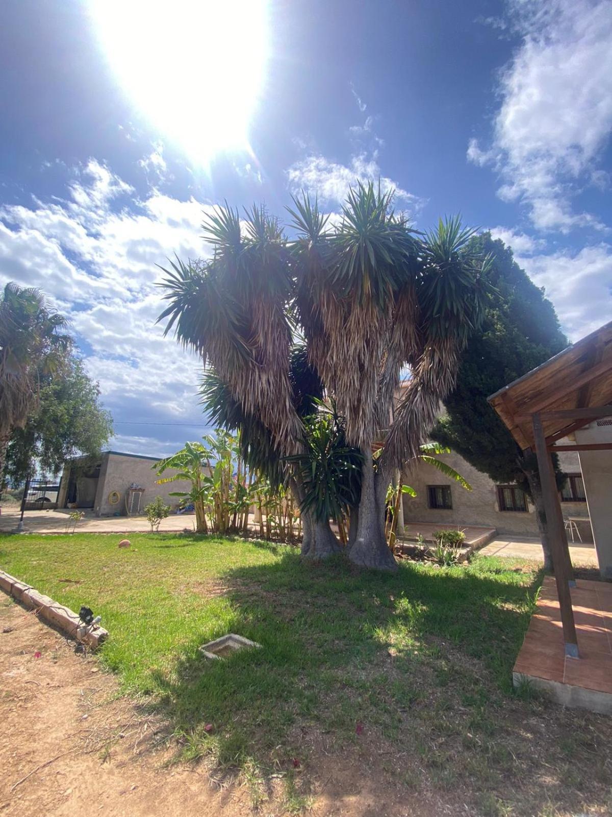 Los Almendros Torrenostra Exteriér fotografie