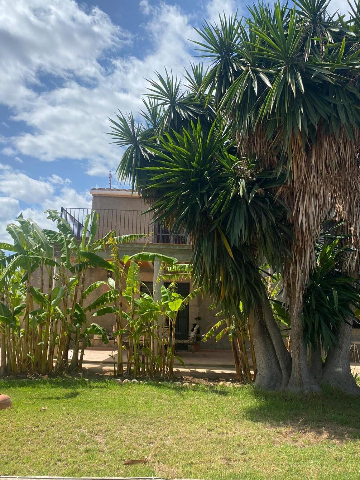 Los Almendros Torrenostra Exteriér fotografie
