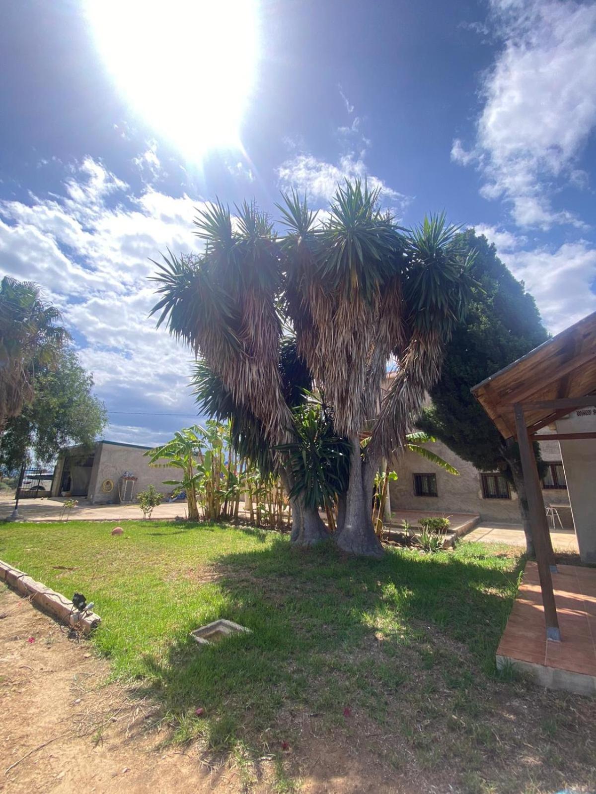 Los Almendros Torrenostra Exteriér fotografie